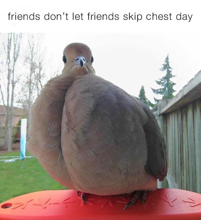 Gymshark's tweet image. those mfs are real ones