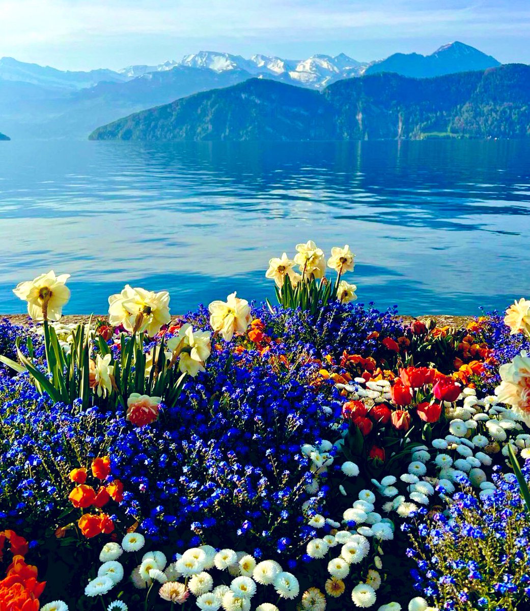 Cathhewat123's tweet photo. Have a lovely day everyone 🙋‍♀️🌺🌺
Have fun…See you later..🌺🌺🌺😘 https://t.co/MSZWZPcfKe