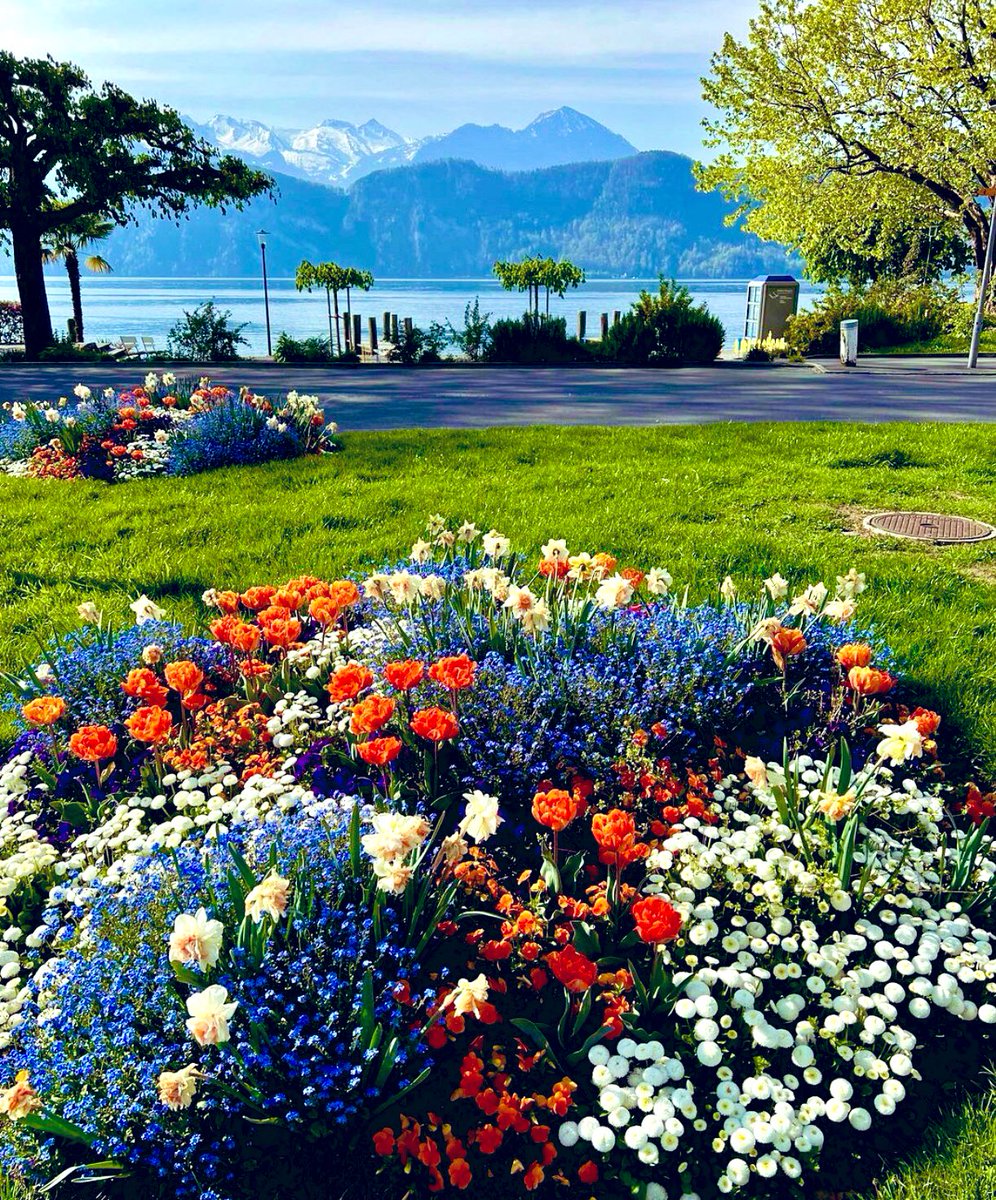 Cathhewat123's tweet photo. Have a lovely day everyone 🙋‍♀️🌺🌺
Have fun…See you later..🌺🌺🌺😘 https://t.co/MSZWZPcfKe