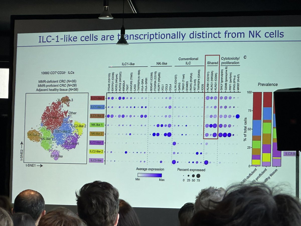 6)💥REALLY GREAT TALK! Dr. Noel de Miranda @NFdeMiranda #colon #cancer #CRC #immunology GURU @UniLeidenNews in conclusion SWITCHES TO recent data evaluating #ILC-1 like cells/ also enriched in HLA- tumors/VERY NICE WORK! #TIMO2023 @sitcancer @CCAlliance @FightCRC #FinishCancer