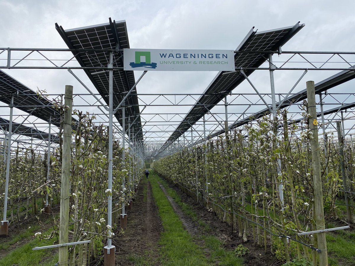 State Board tweet media