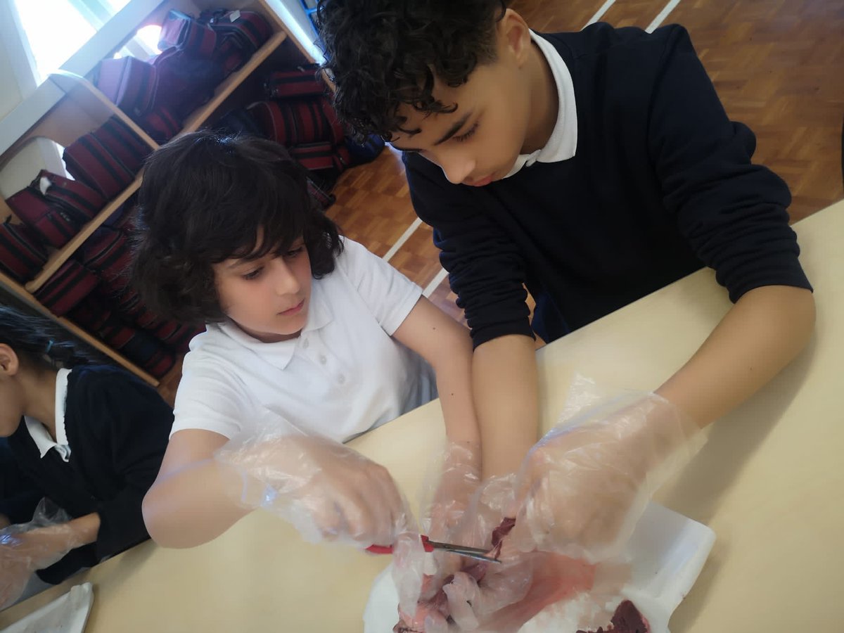 HandfordHallPS's tweet image. Focus, curiosity and fantastic attitude to learning. Well done Year 6!
#Fabscience