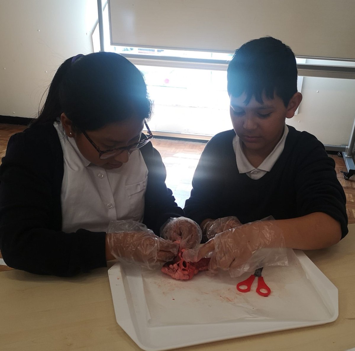 HandfordHallPS's tweet image. Focus, curiosity and fantastic attitude to learning. Well done Year 6!
#Fabscience