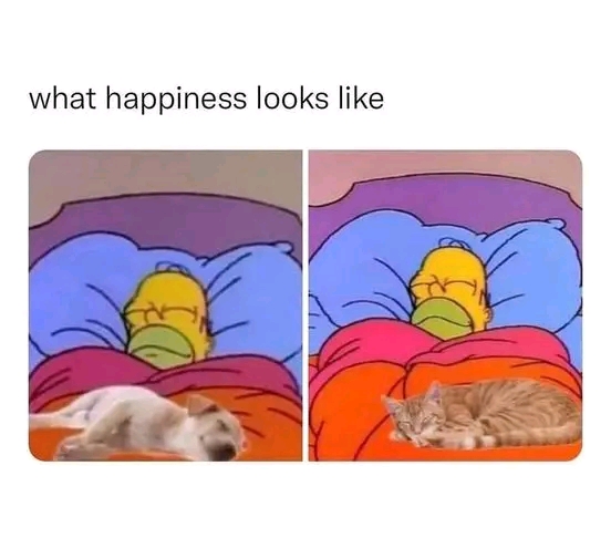WholesomeMemes tweet media