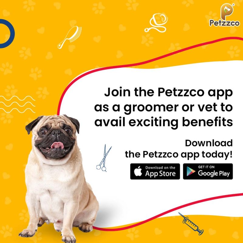 Petzzco's tweet photo. We are calling out to groomers and veterinarians to sign up with us and avail themselves of countless benefits.

Download the Petzzco app today to get started with us as a service provider. https://t.co/3ZFQCKAHES

#petzzco #petzzcocommunityapp #serviceprovider #vets #groomer https://t.co/32KwfCu7rp