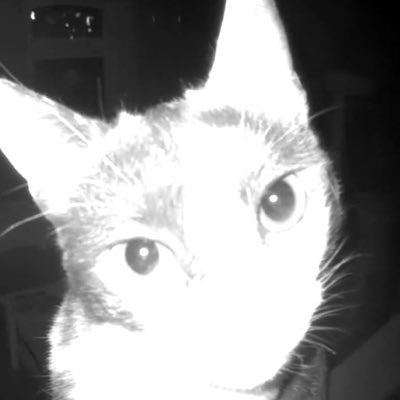 anke_eob's tweet photo. #NeuesProfilbild https://t.co/PhdgvosDz0