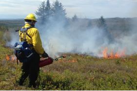 Prescribed burn this spring at Blue Job State Forest will help improve #habitat for visitors and wildlife. nhfishgame.com/2023/04/13/pre… #wildlife #conservation