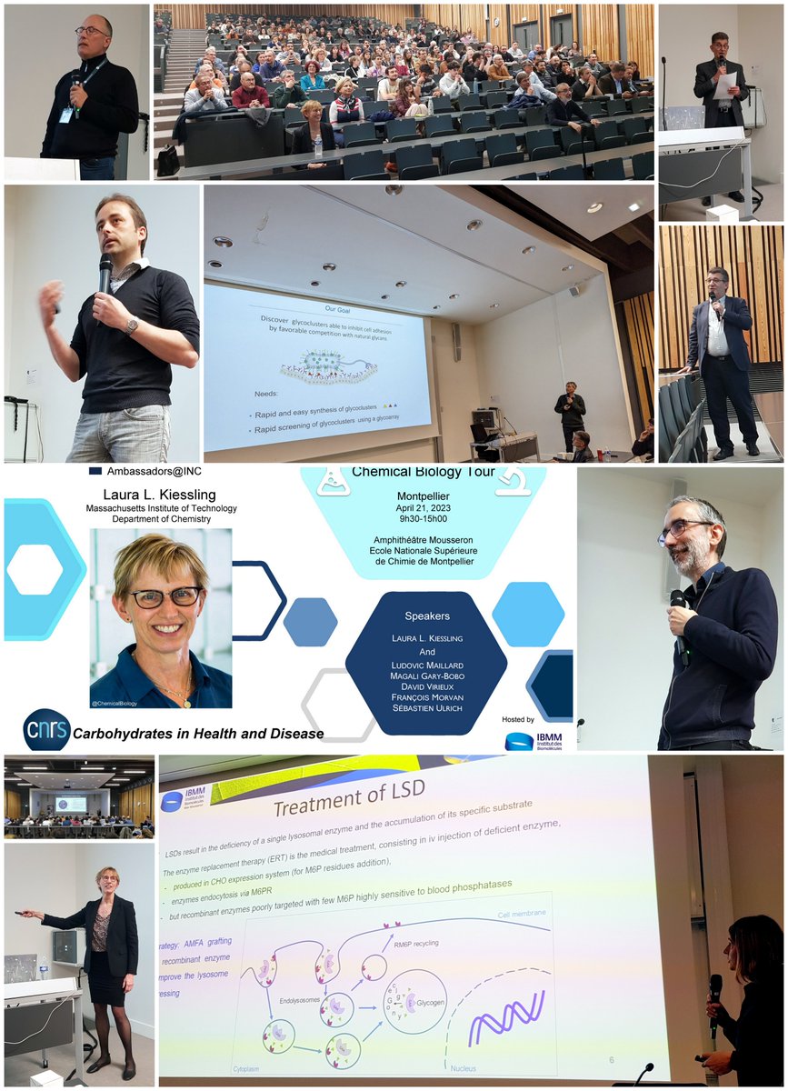 Great scientific day today! 
Thanks to #Magali_Gary_Bobo, #Ludovic_Maillard, #David_Virieux,  #François_Morvan and #Sébastien_Ullrich for their presentation. 
A special thanks to Laura Kiessling @ChemicalBiology  for stopping by Montpellier and for the amazing conference!