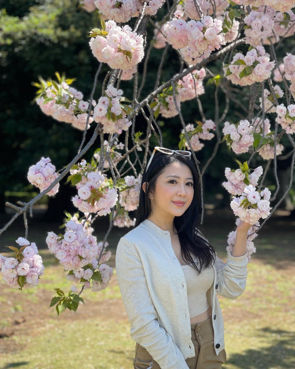 aaaa080887's tweet photo. Its cherry blossom season! 🌸🌸 https://t.co/xd9KFEzukD