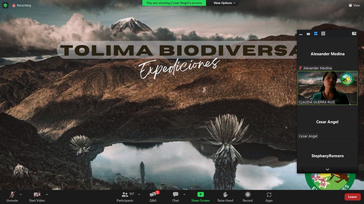 TOLIMABIO's tweet photo. Felices por ser parte de la internacionalización del turismo del Tolima. 
Gracias equipo @PROCOLOMBIACO 
Y el apoyo y guía de @acoturcol 
#SomosTurismoSostenible 
Somos #TolimaBioDiversa https://t.co/43cIBZZ8ob