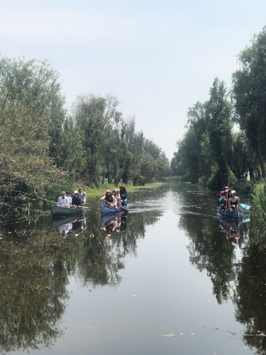 Graupix's tweet photo. No dejéis de ir a @XochimilcoAl cuando visitéis @turismocdmx
Toda una experiencia navegar por sus canales y conocer proyectos como @olintlalli. Os cuento:  
https://t.co/344Pp5k06r @turismocdmx @SECTUR_mx 
@SEDEMA_CDMX @CulturaCiudadMx #CDMX #sostenibilidad #GraupixDF https://t.co/35KxqBBmSt