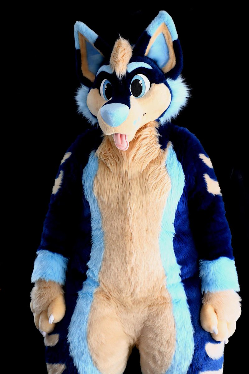 Slush 💙🐾 tweet media