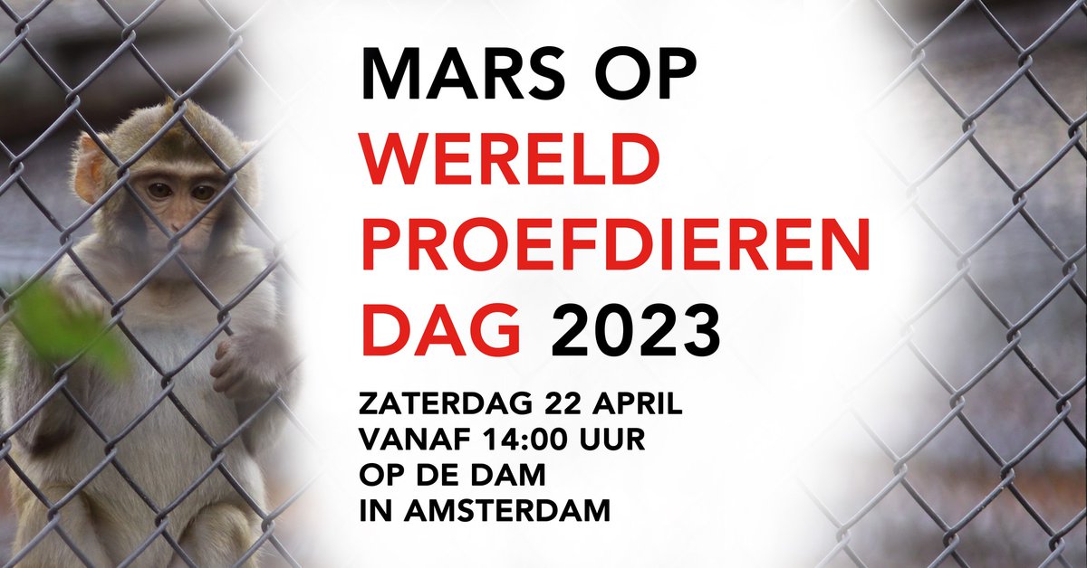 Morgen! De mars op wereldproefdierendag❗️👇
m.facebook.com/events/3268215…