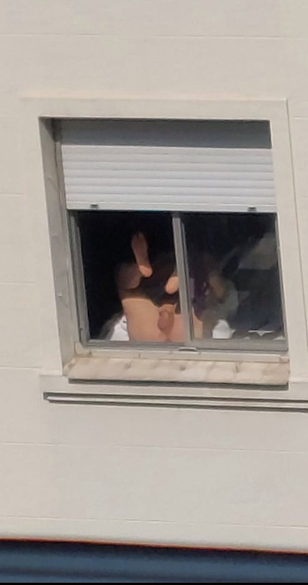 peacemaker_psy's tweet photo. galera eu e meu vizinho do prédio da frente nos desentendemos e agora todo dia no horário que eu vou pra janela fumar ele tá assim, tô cansado dessa situação.

vou deixar uma foto dele ao lado, se alguem souber o nome por favor me diz pra eu poder tomar algumas medidas https://t.co/P2ycNI9Y6l