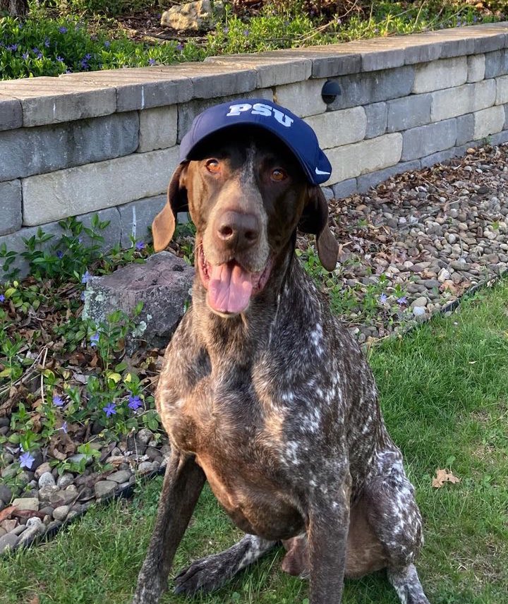 PSUBarstool's tweet image. Happy #GoodBoyFriday Penn State!