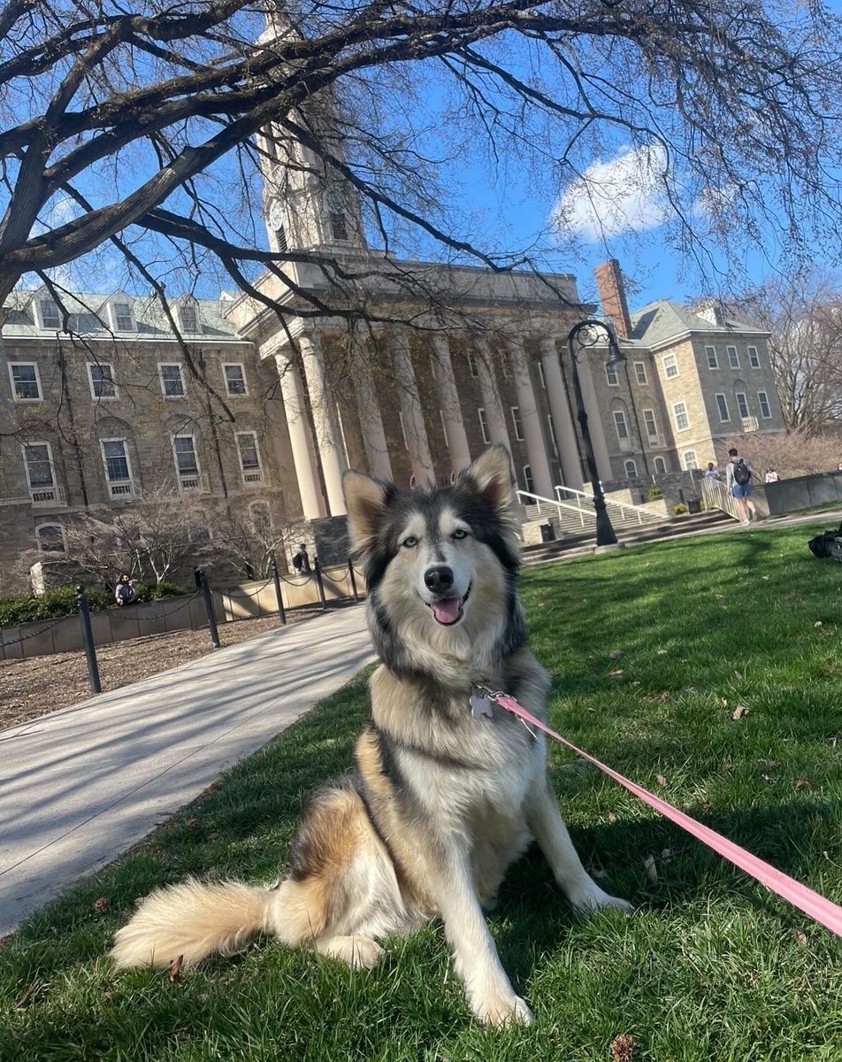 PSUBarstool's tweet image. Happy #GoodBoyFriday Penn State!