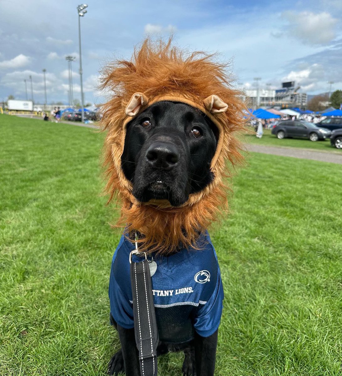 PSUBarstool's tweet image. Happy #GoodBoyFriday Penn State!