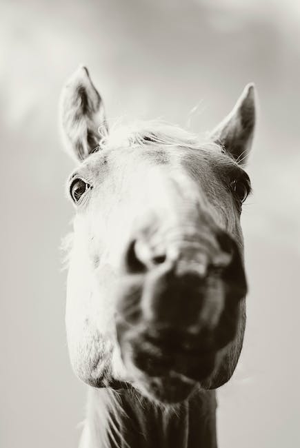 Straight from the horse's mouth, well, <a href="/dkeateshistory/">Mr Keates</a> mouth actually!
ow.ly/RrIF50NP545
Blog on why OCR B specification was right for Dan's school. Could it be right for you?
#GCSEHistory
#historyteacher