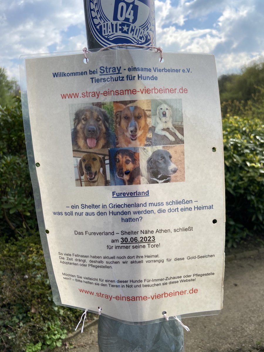 SpockiSenfhund's tweet photo. Bitte teilen ❤️ https://t.co/rgQ8V7yrlj