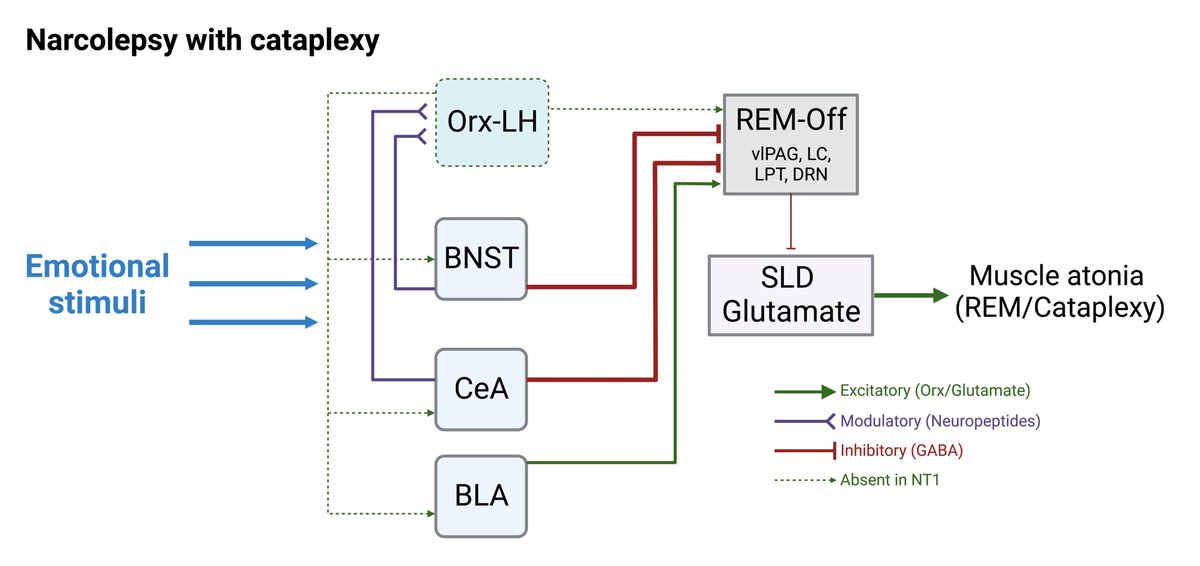 Giardino Laboratory tweet media