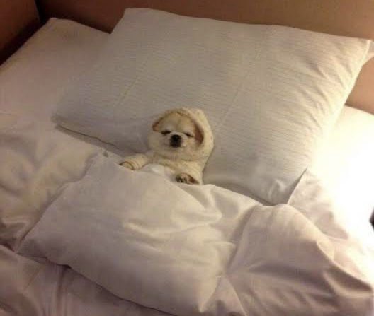 oemputecido's tweet photo. *no feriado vou fazer várias coisas*

eu no feriado: https://t.co/VzOBfu7EEQ