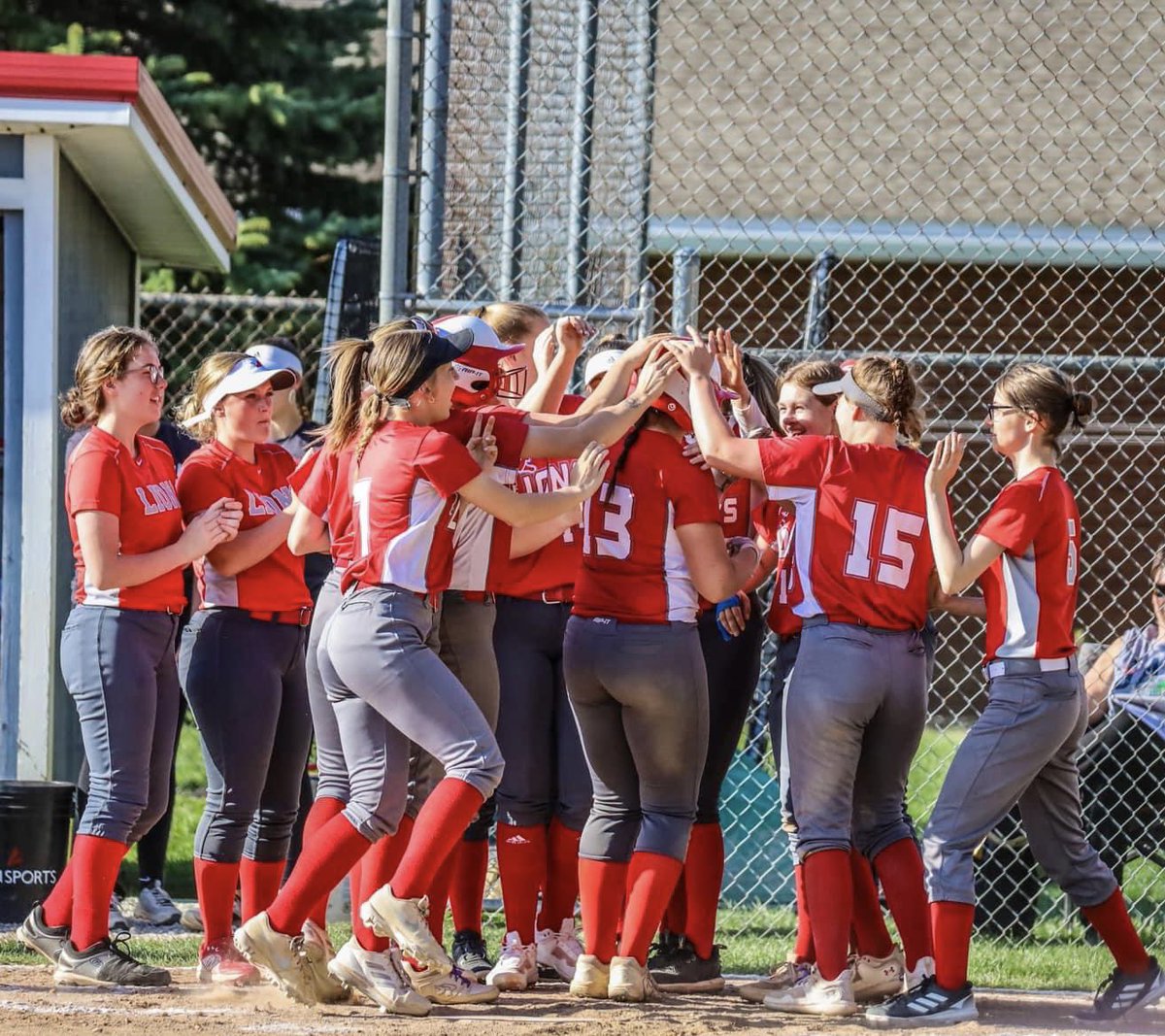 Minerva Softball tweet media