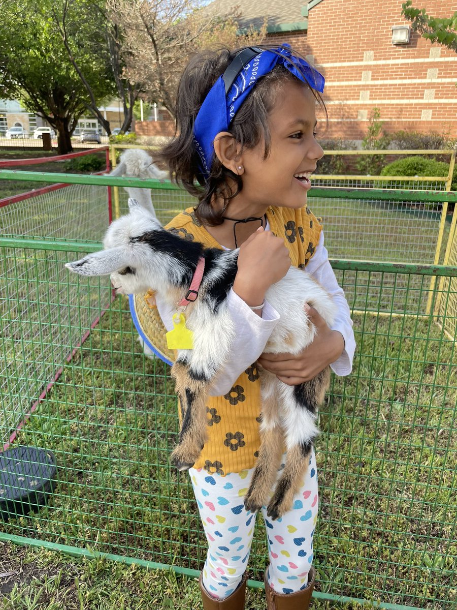 Courtney Rice tweet media