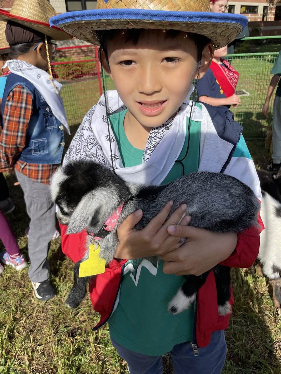 Courtney Rice tweet media