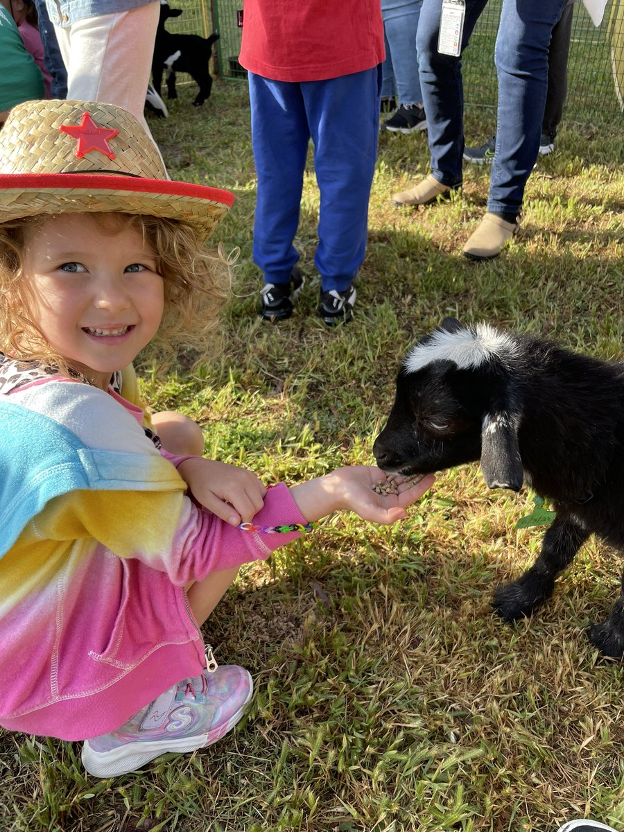 Courtney Rice tweet media