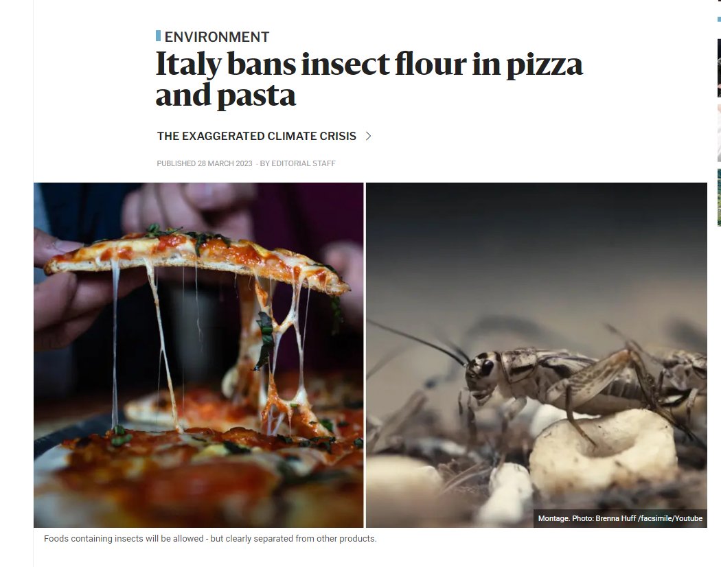 In Italy, at least, the government has moved to ban the use of insect flour in products like pizza and pasta. Because insect producers know people in the West generally won't eat insects whole, they're being turned into insectmeal and inserted into all manner of foods.