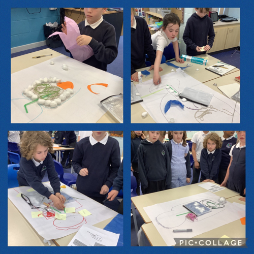 Year 4 had a fantastic time making a digestive system diagram using everyday objects. #ParklandsCPlove2learnscience