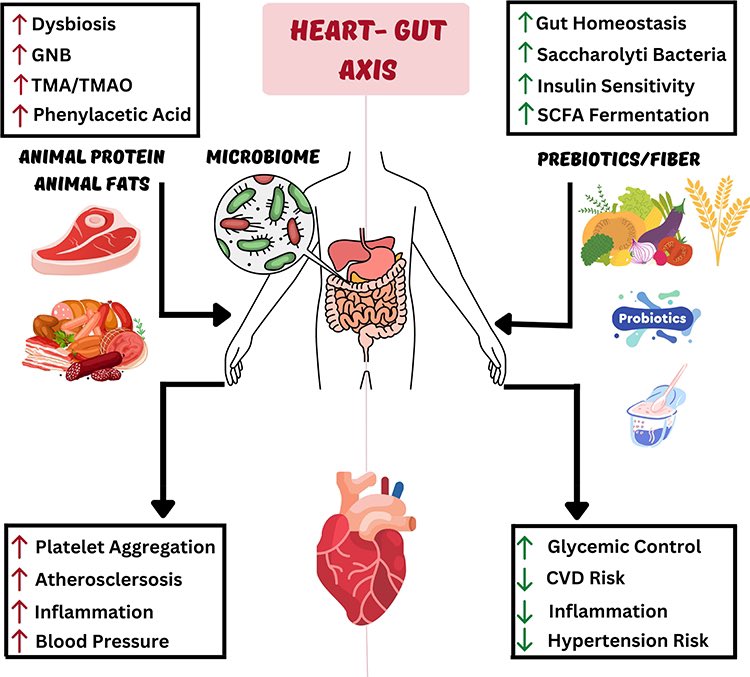 Alaa Diab, MD MPH tweet media