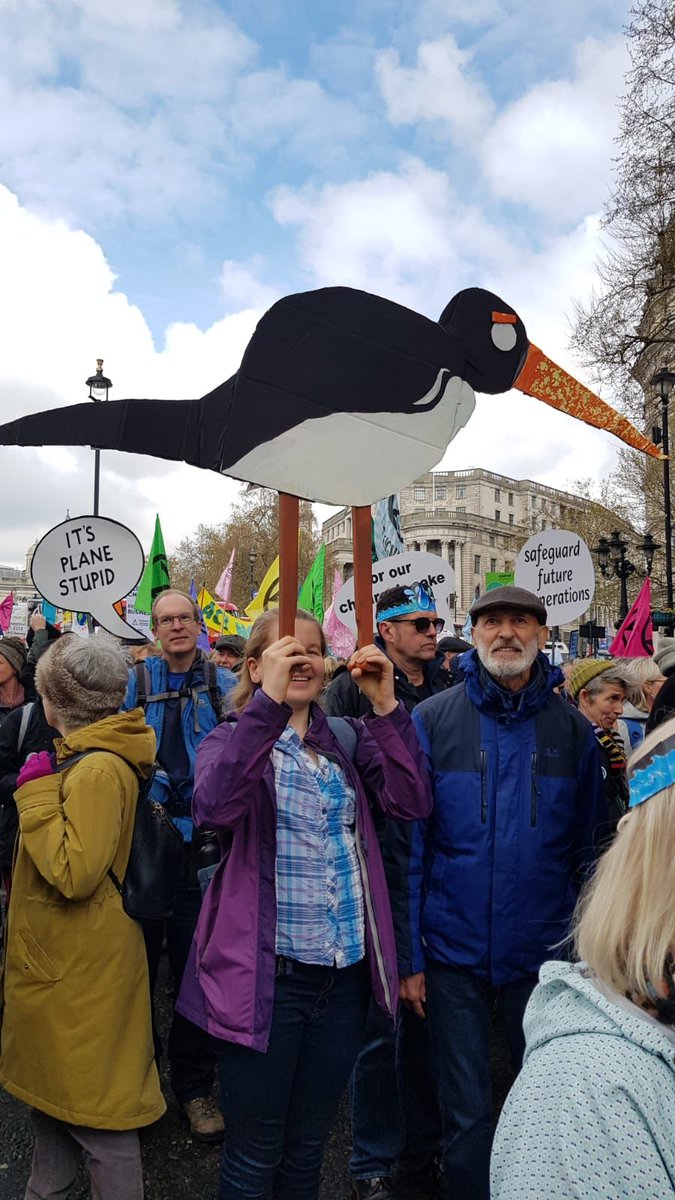 Friends of the Earth - Exeter (@foe_exeter) on Twitter photo Odelia flew a long way today!
Exeter Friends of the Earth's Odelia the Oystercatcher is protesting at <a href="/ExtinctionR/">Extinction Rebellion Global</a>'s #TheBigOne in London Odelia flew a long way today!
Exeter Friends of the Earth's Odelia the Oystercatcher is protesting at <a href="/ExtinctionR/">Extinction Rebellion Global</a>'s #TheBigOne in London