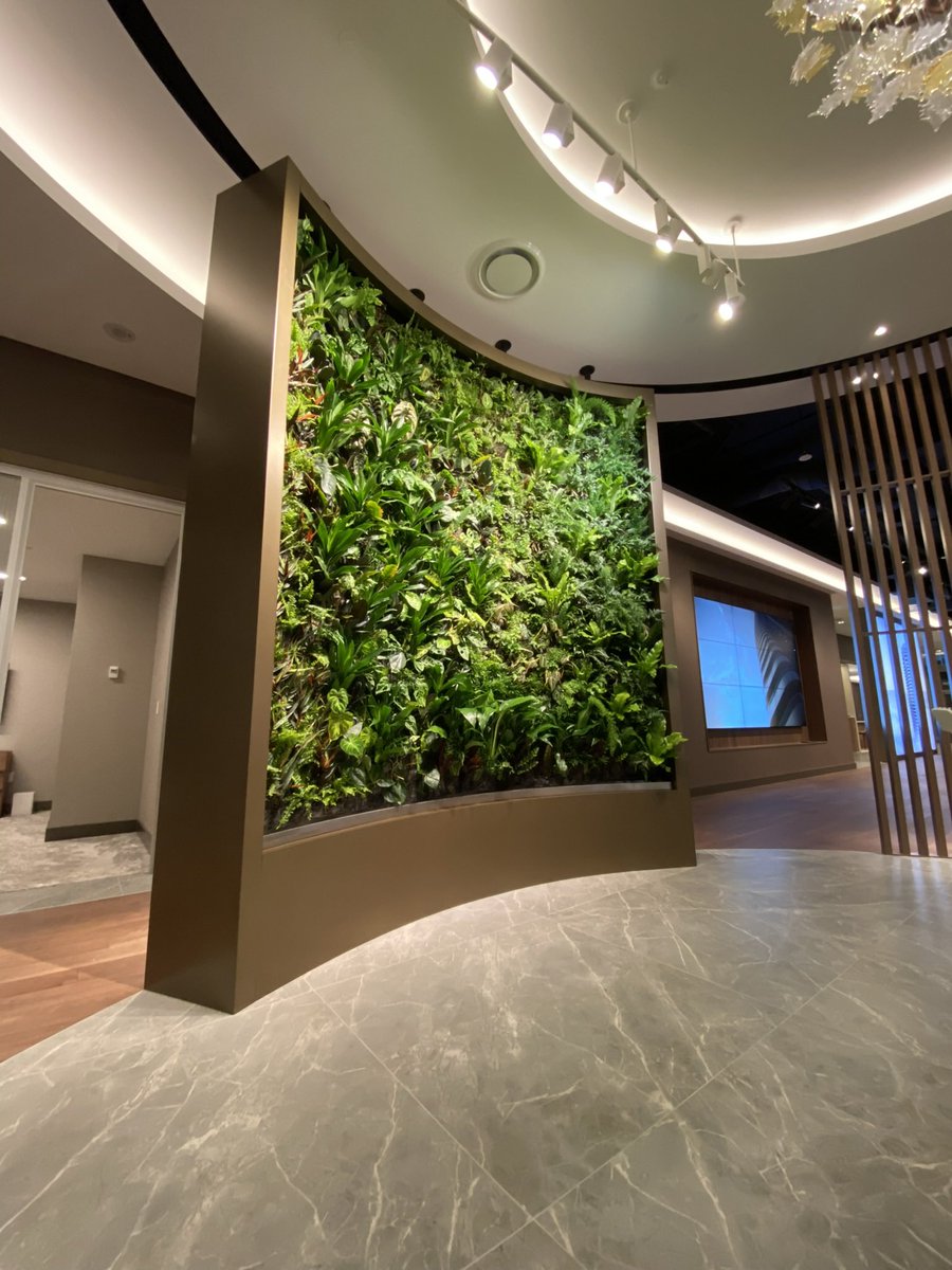 GreenOverGrey's tweet photo. Always looking to push the limits of living wall design, Green over Grey is thrilled to be part of Brivia’s Curv presentation centre. 

With a height of 60 stories, Curv will be both the tallest passive house in the world and Vancouver’s tallest residential tower. Seamlessly blending eco-consciousness with luxury design, Curv sets a new standard for development in the city. 

For the presentation centre, we designed and built a fully custom, freestanding living wall with a unique curved shape. Echoing the lines of the building, the wall welcomes visitors with a green embrace.

#greenovergrey
#livingwall
