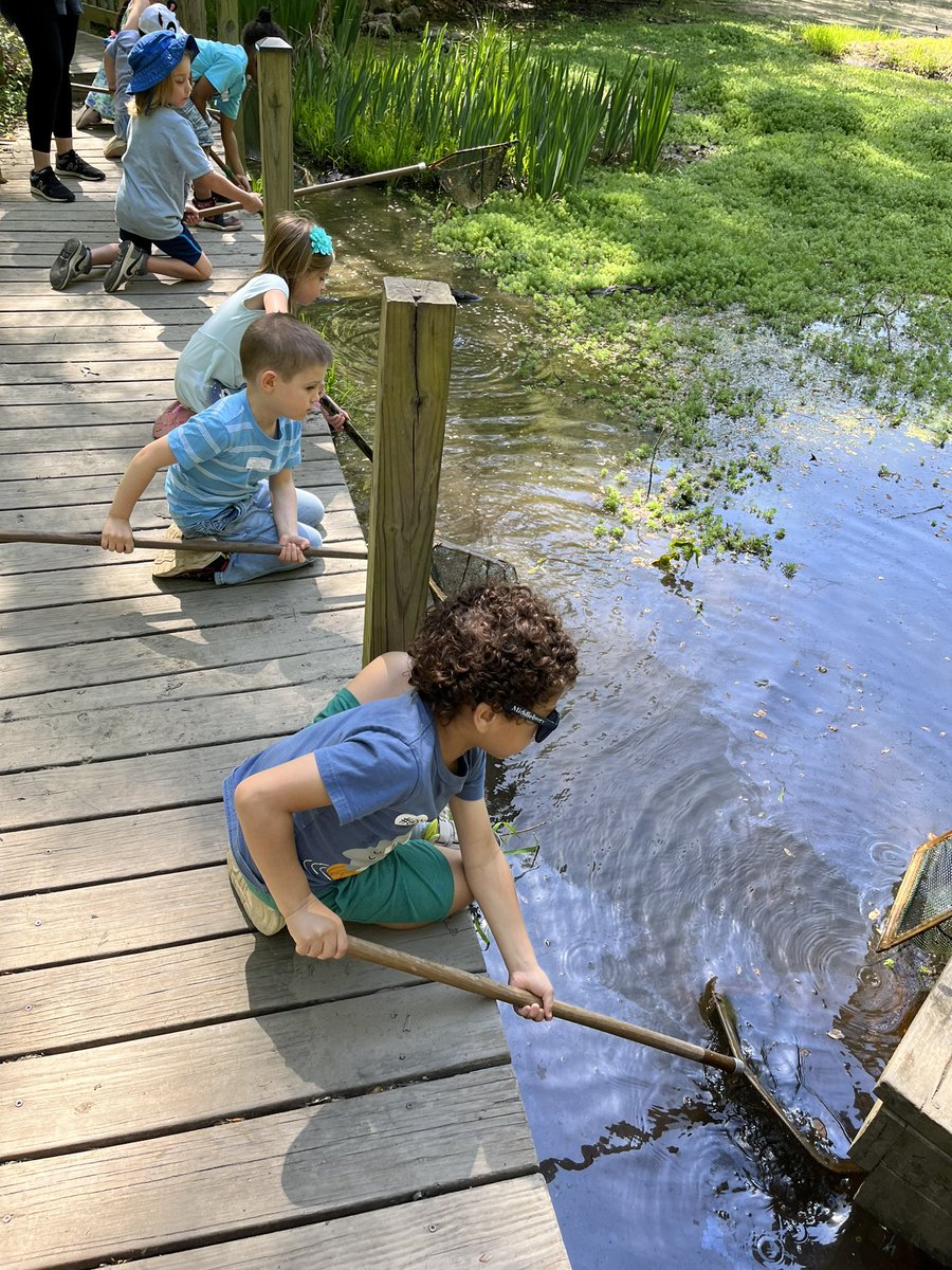 Carly Marx tweet media