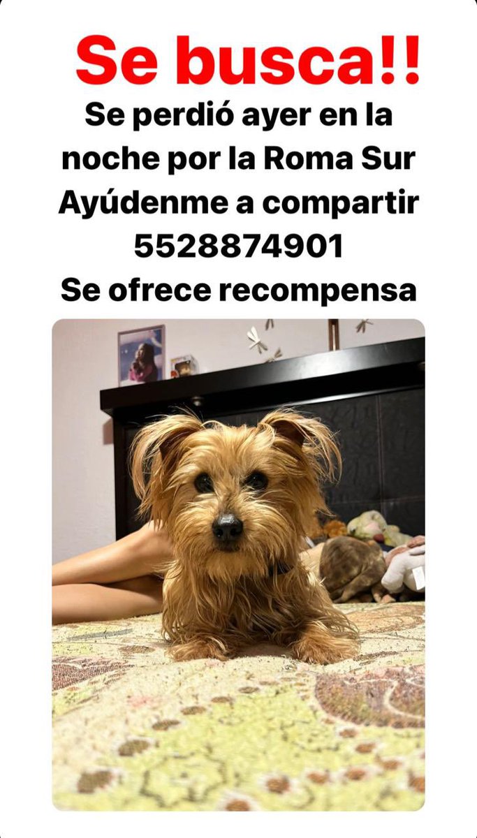 LaRomaMex tweet media