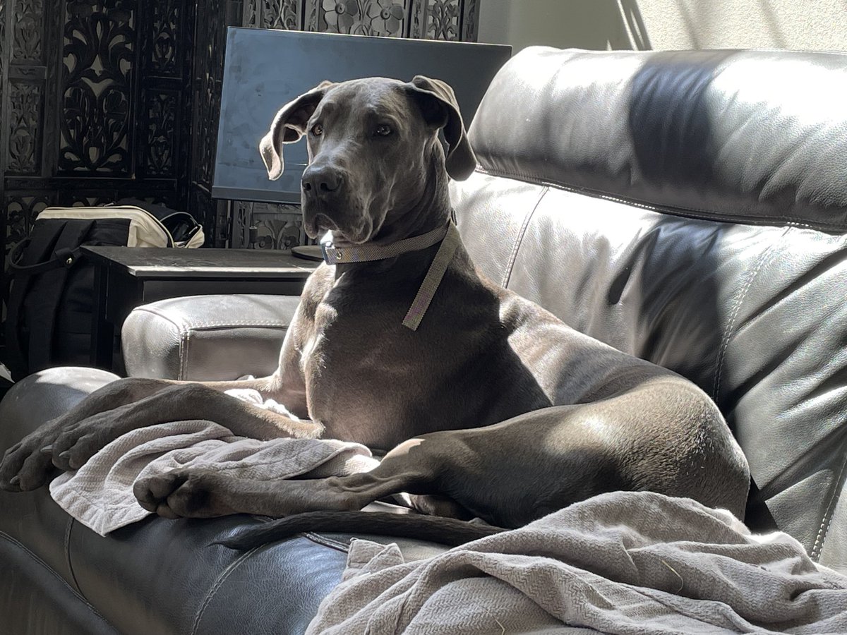 TullamoreBlu's tweet photo. Keeping an eye on things.👀 https://t.co/qA1aX7o1w3