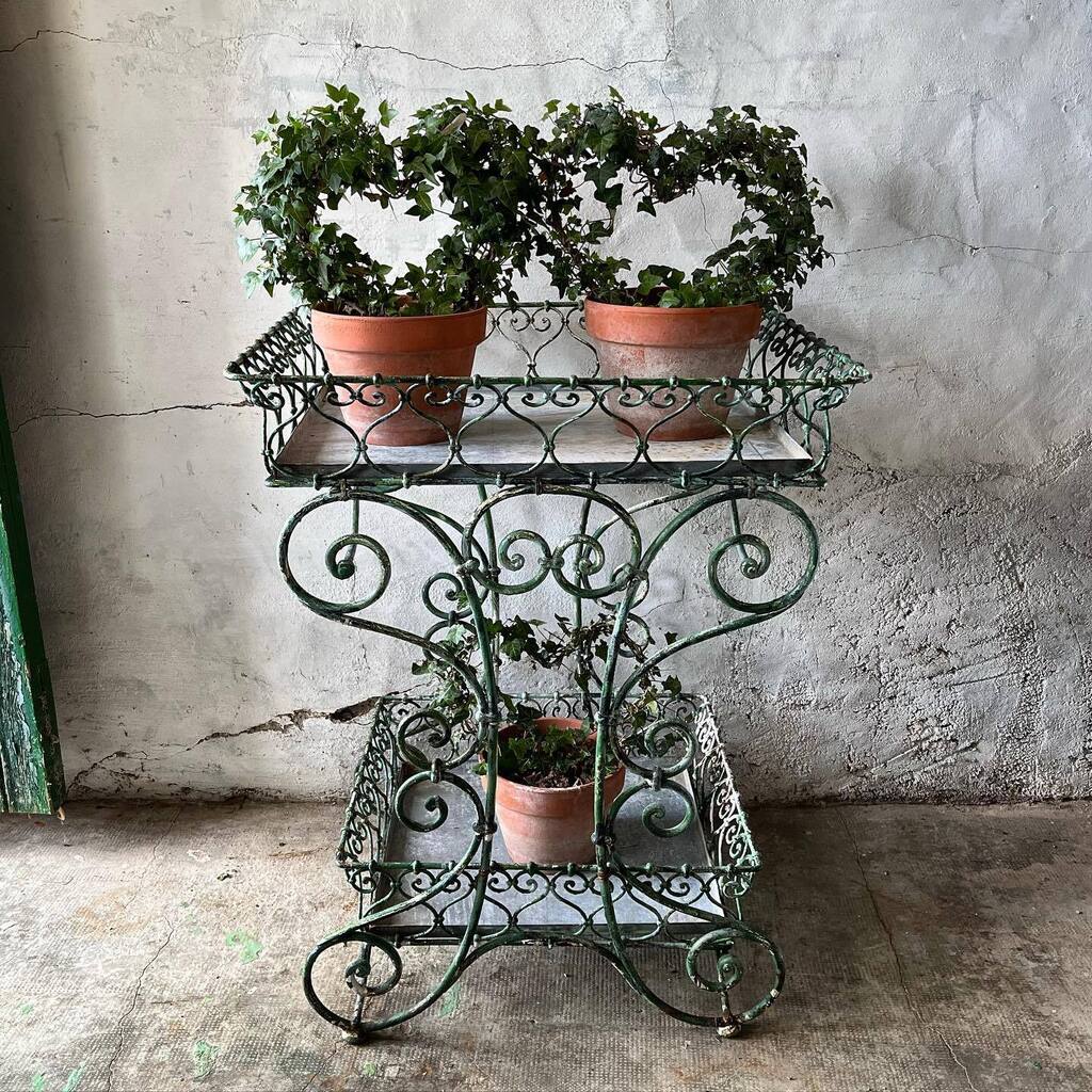 Just in …. 💚💚💚
And we love it!
French Wrought Iron Florist Stand
Two tiers with zinc liners.

Available to view in our Hangar Two Showrooms , Lorfords, Babdown Airfield 

For more details please DM. Online soon. 

🌱

🌱

🌱

#gardenlove #orangerie … instagr.am/p/CrTTDk2o0LQ/