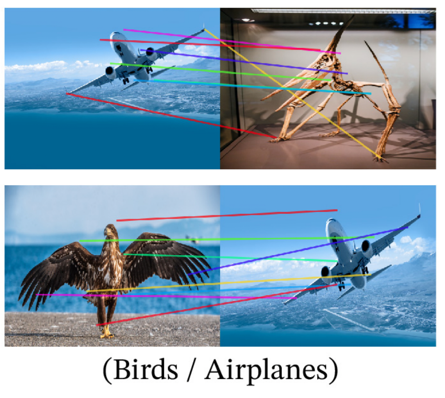 TimDarcet tweet media