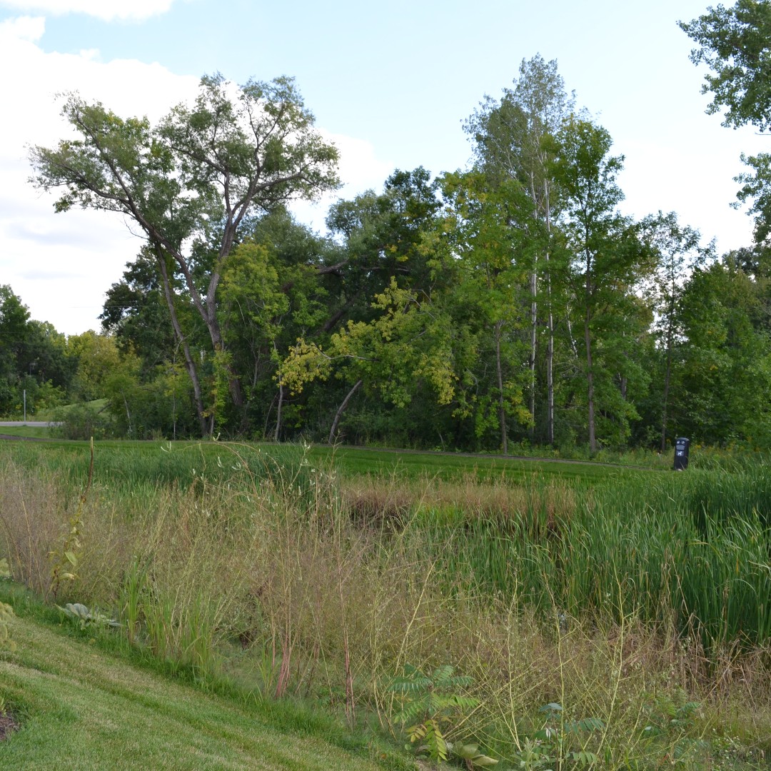 ArborRidgeMN tweet media
