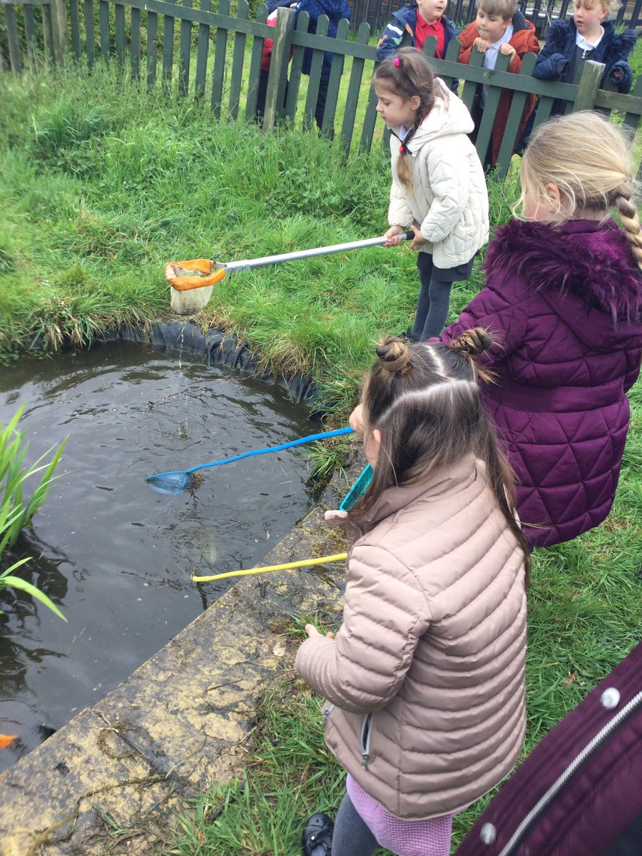 Hazel_Yacademy's tweet photo. Today we went pond dipping as part of our Earth day activities 🦎 https://t.co/VSuS9UV0bJ