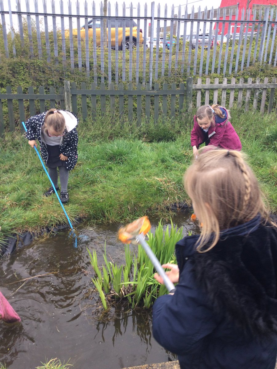 Hazel_Yacademy's tweet photo. Today we went pond dipping as part of our Earth day activities 🦎 https://t.co/VSuS9UV0bJ