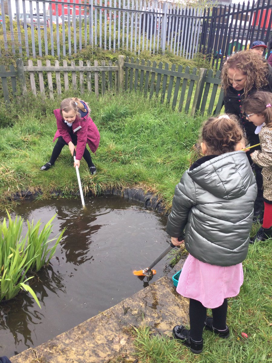Hazel_Yacademy's tweet photo. Today we went pond dipping as part of our Earth day activities 🦎 https://t.co/VSuS9UV0bJ