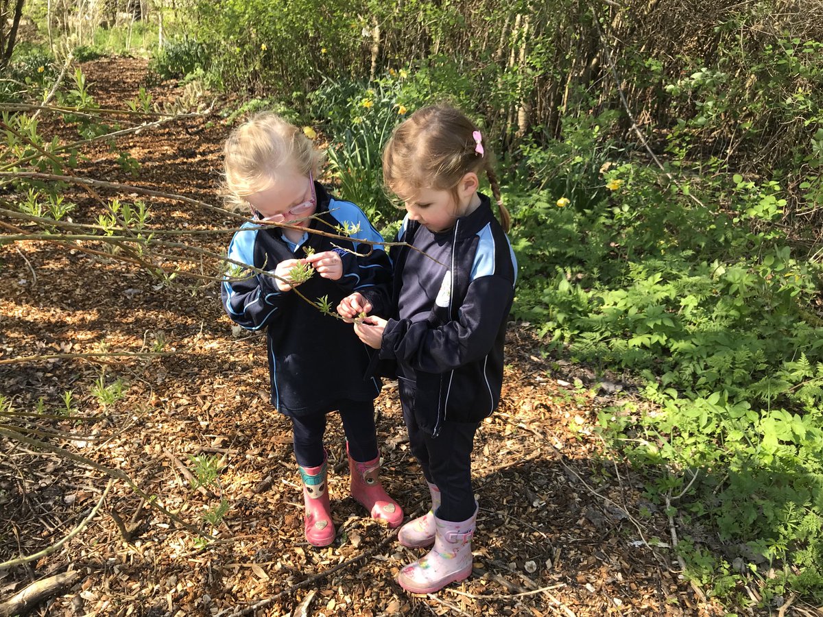 Dinnington_Rec's tweet photo. Reception โฆ@DinningtonFirstโฉ have done some great outdoor learning this week, planting beanstalks and exploring our woodland area. #OpenToNewExperiences #EYFS #ForestSchool https://t.co/YIpSr2jBlO