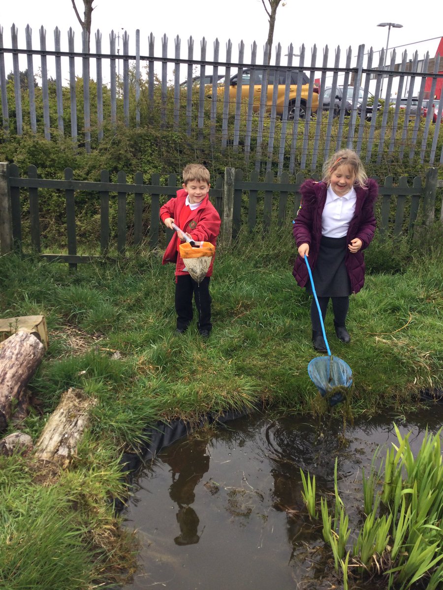 Hazel_Yacademy's tweet photo. Today we went pond dipping as part of our Earth day activities 🦎 https://t.co/3skpHgq4Qv