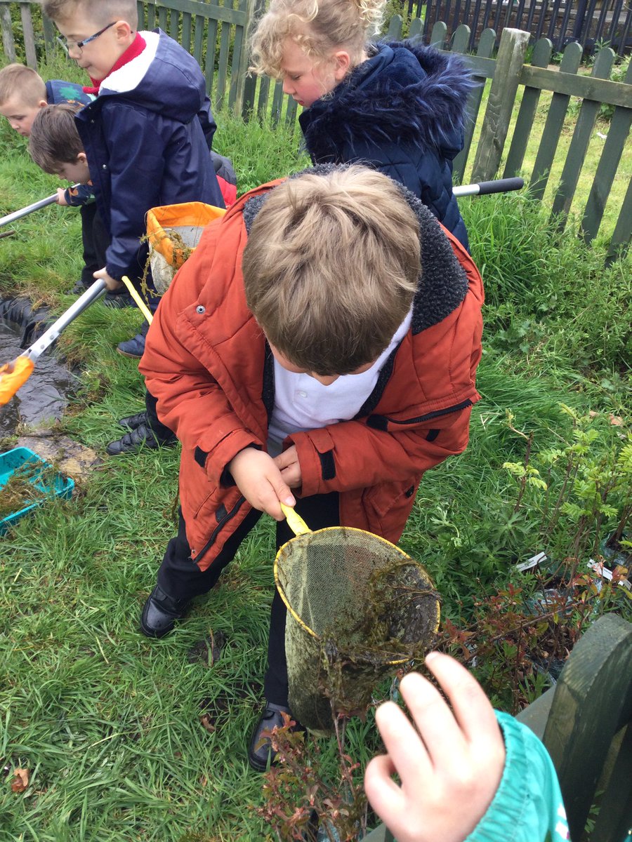 Hazel_Yacademy's tweet photo. Today we went pond dipping as part of our Earth day activities 🦎 https://t.co/3skpHgq4Qv