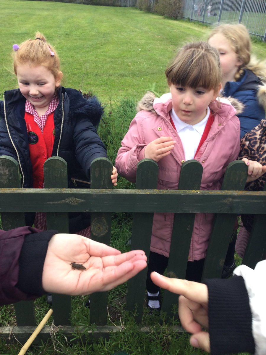 Hazel_Yacademy's tweet photo. Today we went pond dipping as part of our Earth day activities 🦎 https://t.co/3skpHgq4Qv