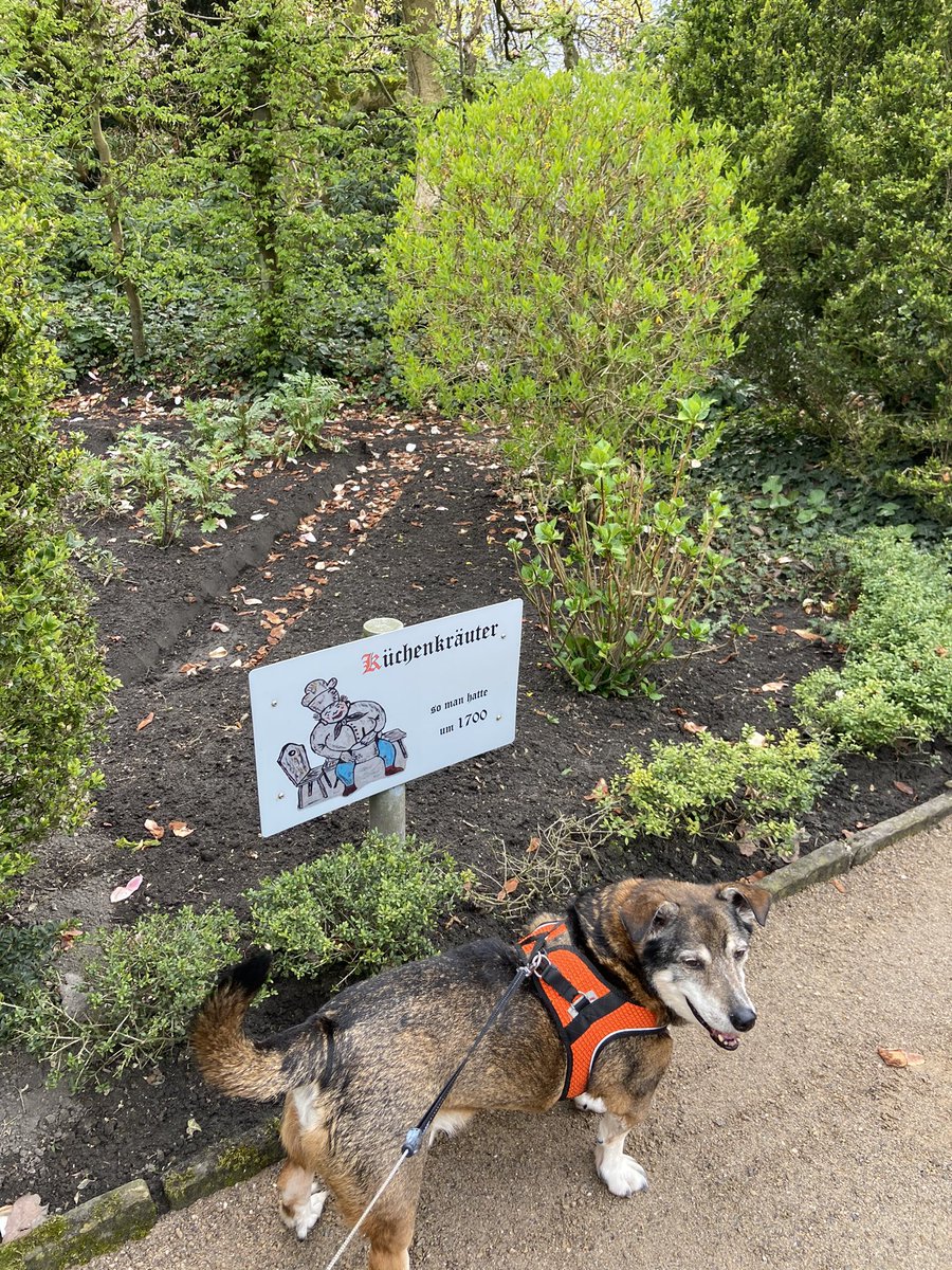 SpockiSenfhund's tweet photo. #twitterrudel noch mehr #schoenes https://t.co/FvpVomcego