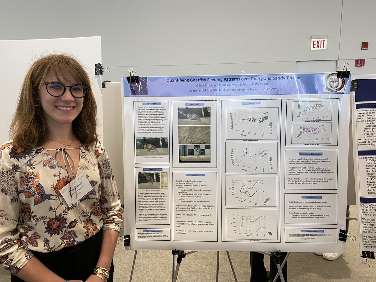 Mark Westneat 🐟 tweet media