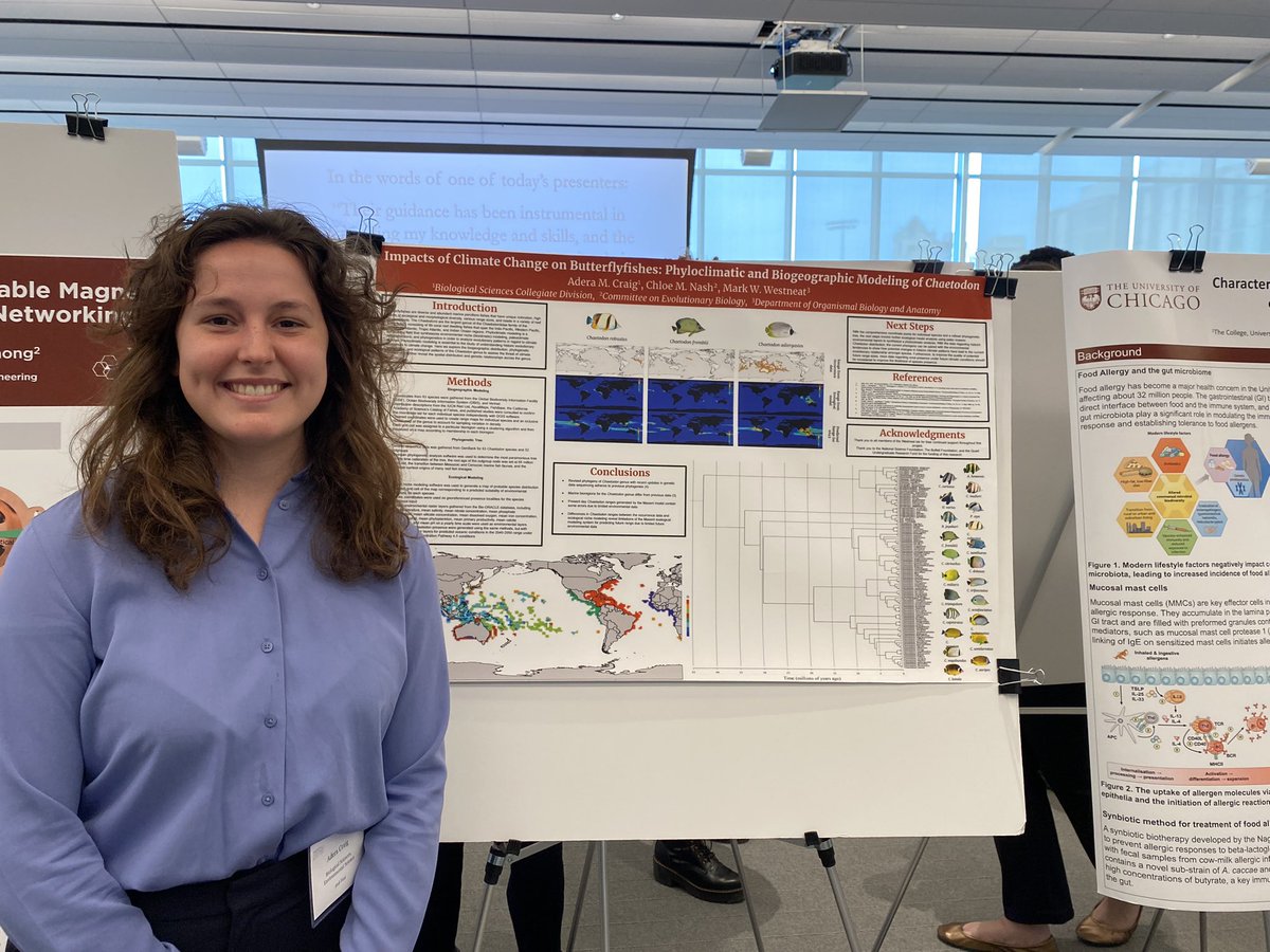Goatfish feeding behavior and butterflyfish phylogenetics and response to climate change! Undergraduate research symposium posters by our awesome students Olivia Grobmyer and Adera Craig. <a href="/UChicagoBSD/">UChicago Biological Sciences</a> <a href="/UChicagoCollege/">UChicago College</a>